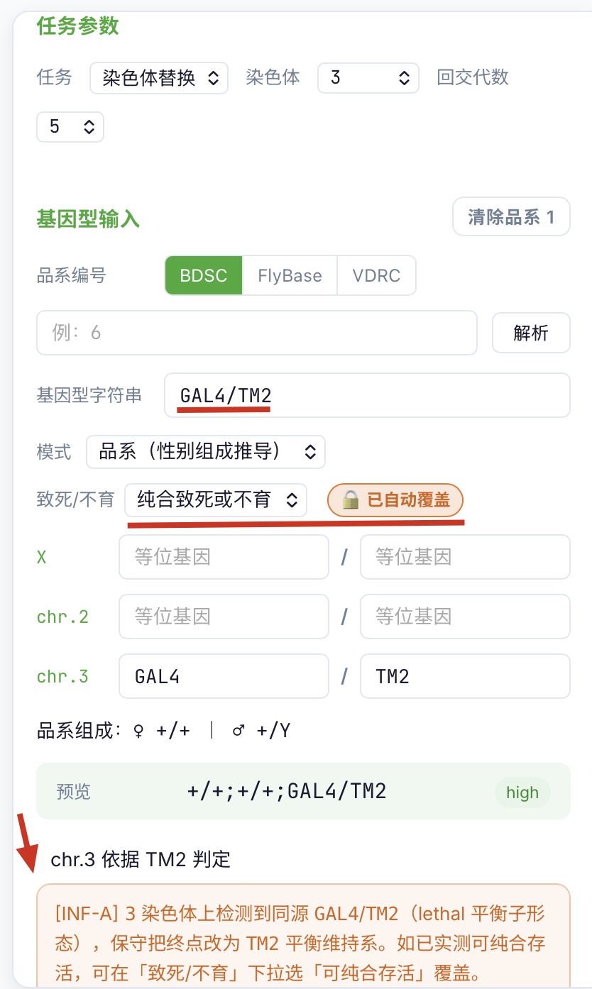 3 号维持系形态示例:Tg1/TM6B 输入后 INF-A 命中